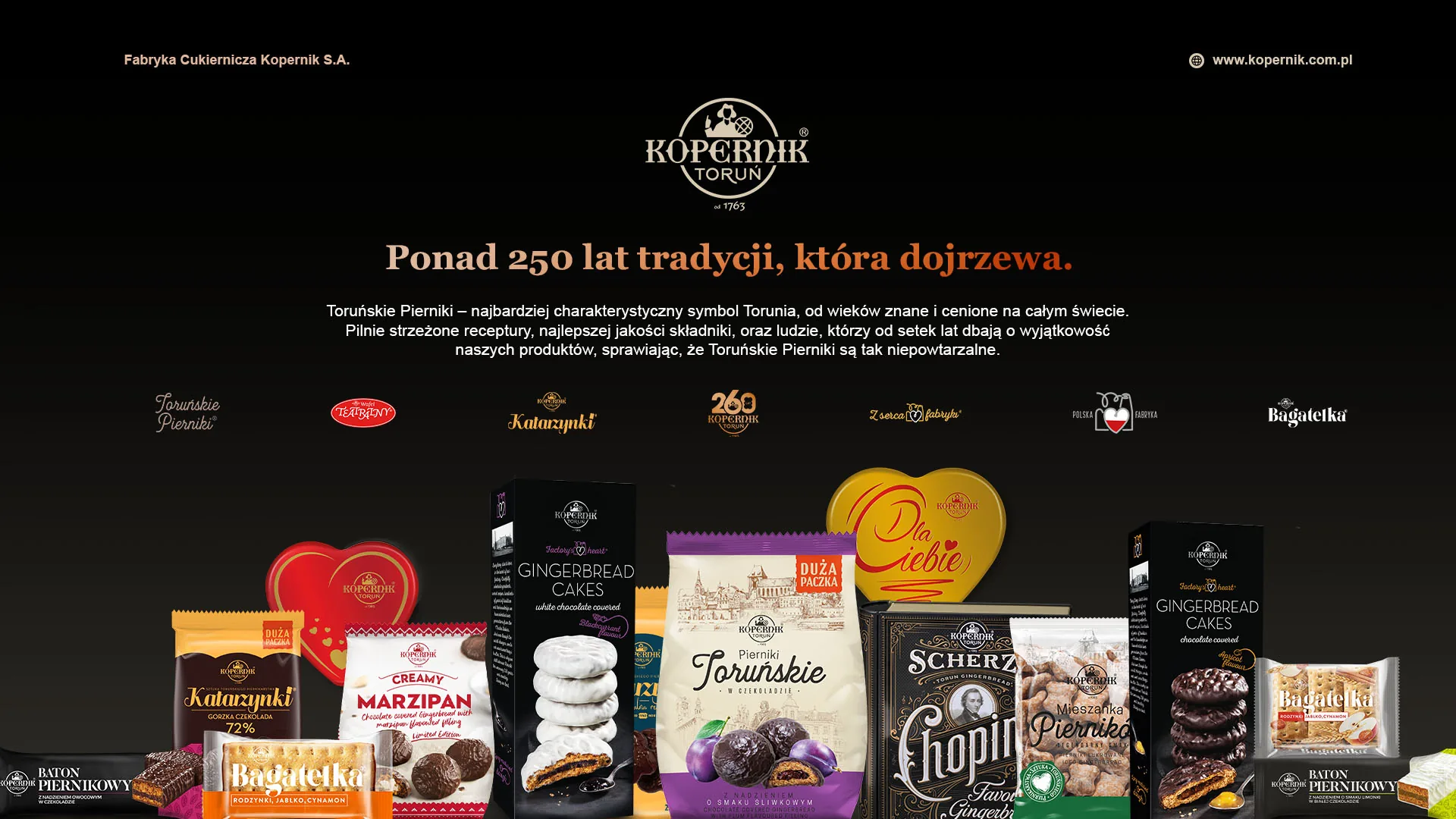Kopernik Toruń – realizacja KartS Design, widok 9